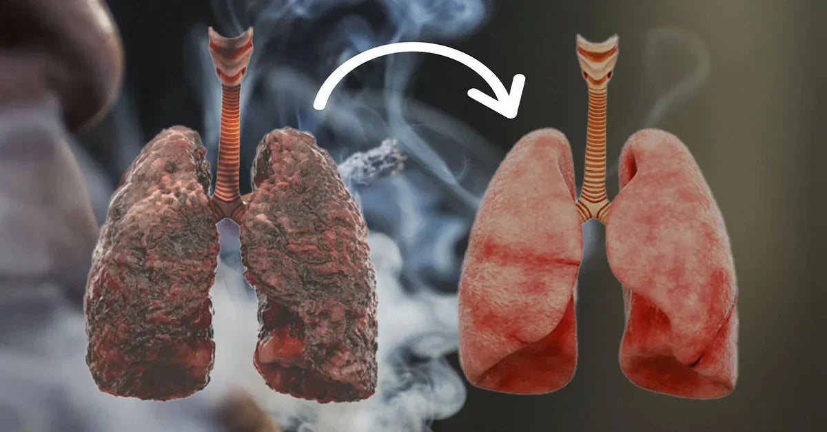 Beyond Quitting Smoking: How I Removed Years of Toxic Mucus From My Lungs